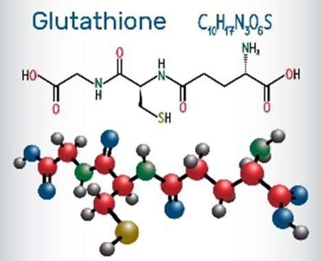 Glutatione, antiossidante endogeno